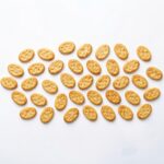 BACR003 Chefhola Bakery Crackers Plain Salted Cracker perspective