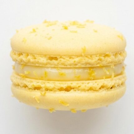 PAMA004 Chefhola Pastries Macarons Lemon Macaron